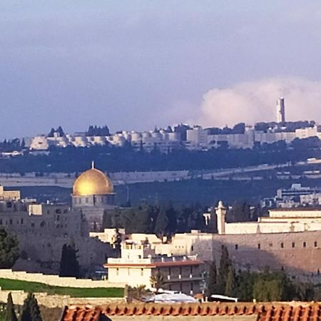 Cozy Garden Lägenhet Jerusalem Exteriör bild