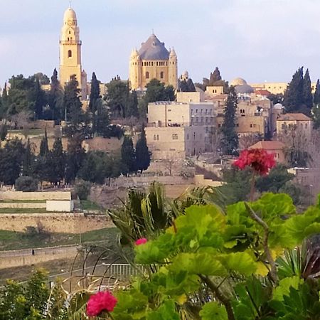 Cozy Garden Lägenhet Jerusalem Exteriör bild