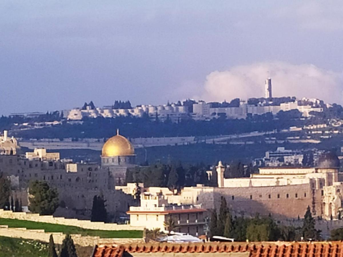 Cozy Garden Lägenhet Jerusalem Exteriör bild