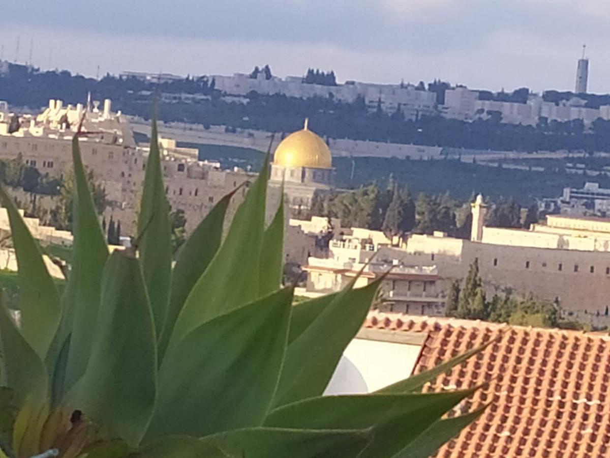 Cozy Garden Lägenhet Jerusalem Exteriör bild