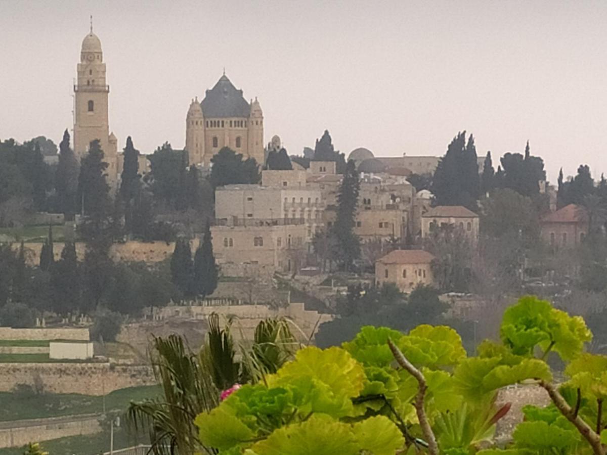 Cozy Garden Lägenhet Jerusalem Exteriör bild