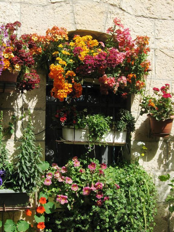 Cozy Garden Lägenhet Jerusalem Exteriör bild