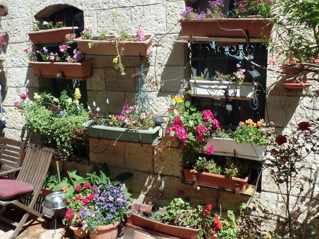 Cozy Garden Lägenhet Jerusalem Exteriör bild