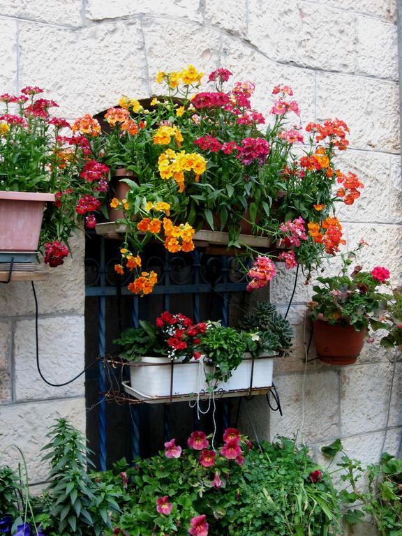 Cozy Garden Lägenhet Jerusalem Exteriör bild