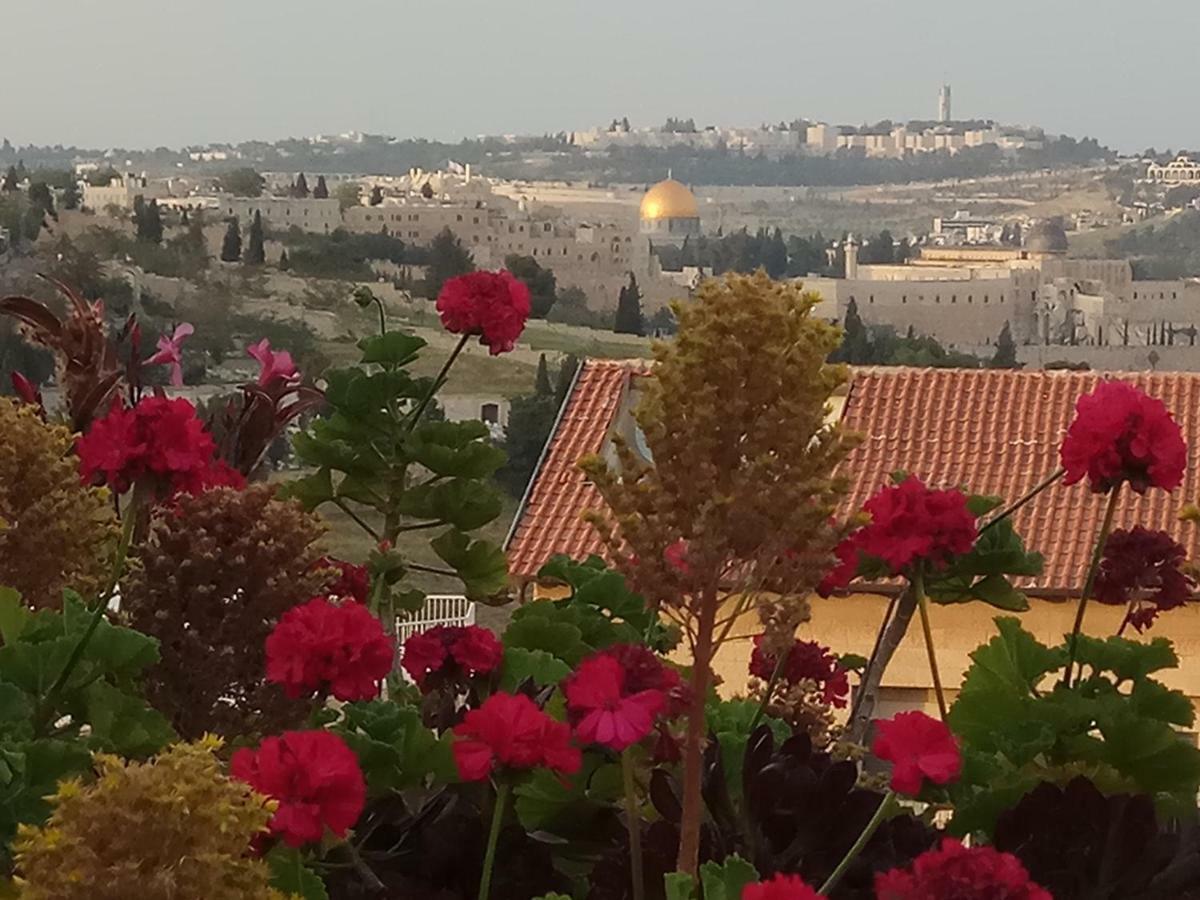 Cozy Garden Lägenhet Jerusalem Exteriör bild