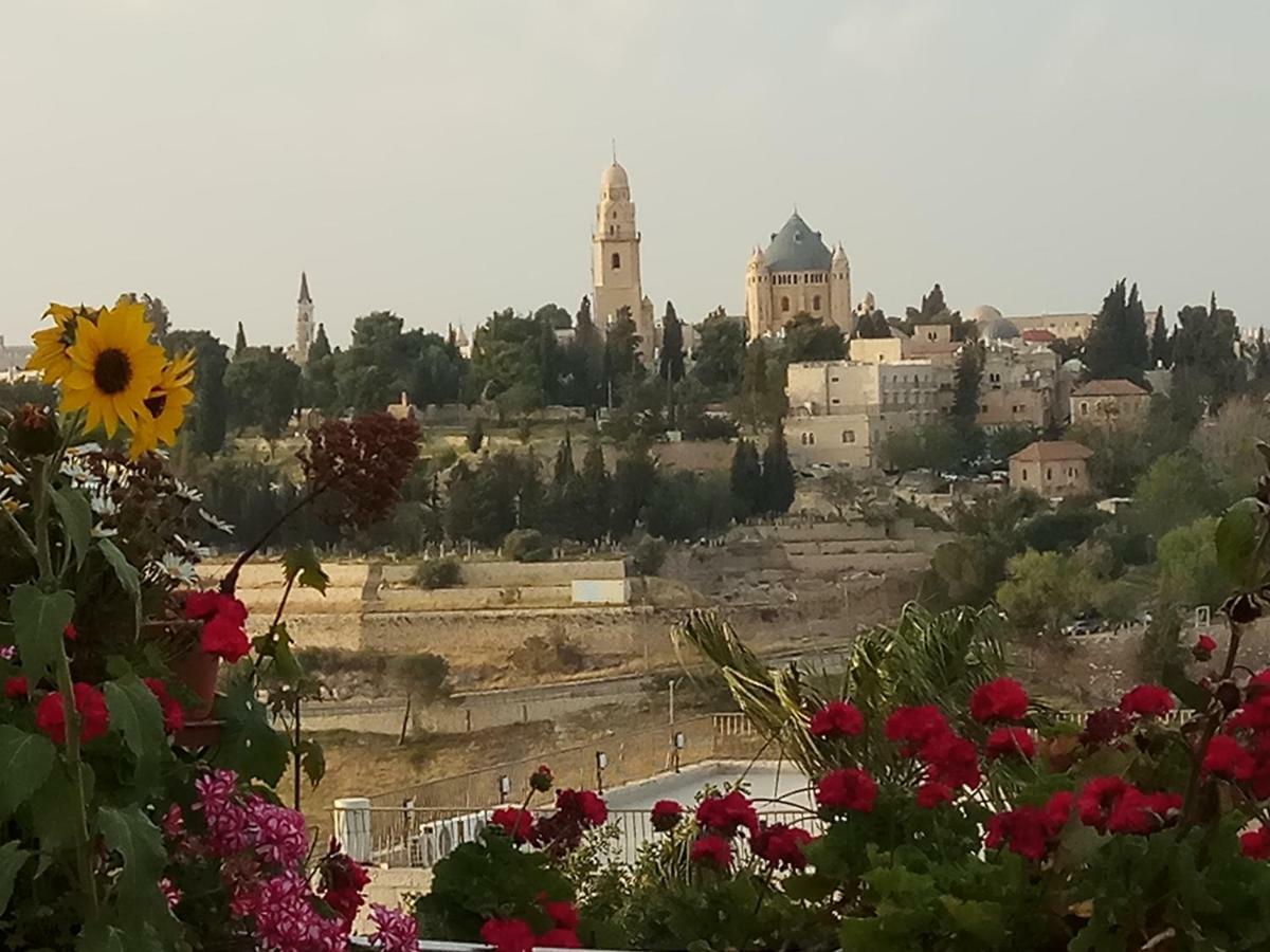 Cozy Garden Lägenhet Jerusalem Exteriör bild