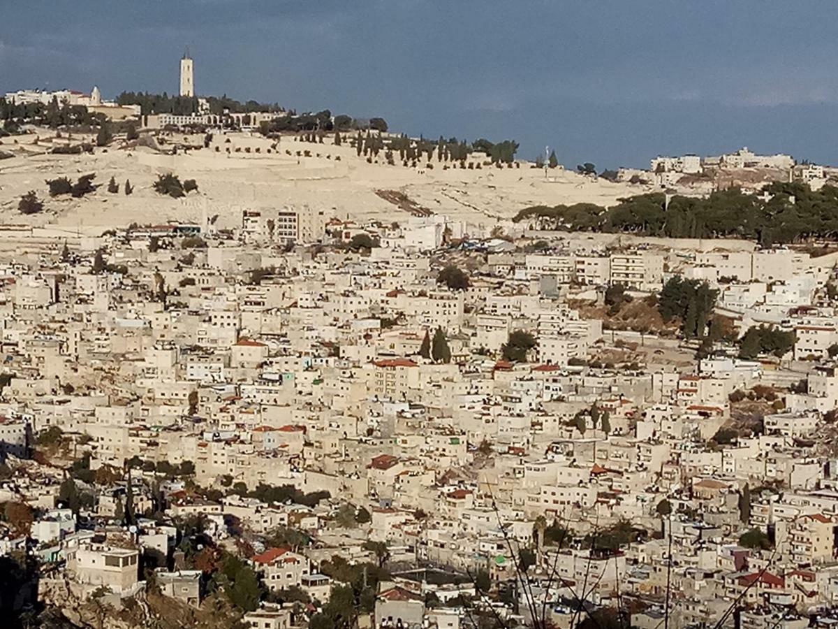 Cozy Garden Lägenhet Jerusalem Exteriör bild